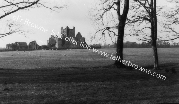 DUNBRODY ABBEY FROM S.E.